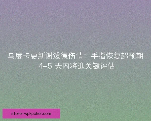 乌度卡更新谢泼德伤情：手指恢复超预期 4-5 天内将迎关键评估
