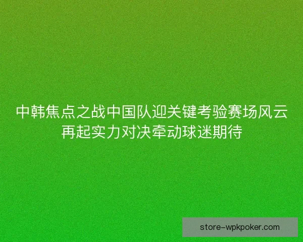 中韩焦点之战中国队迎关键考验赛场风云再起实力对决牵动球迷期待